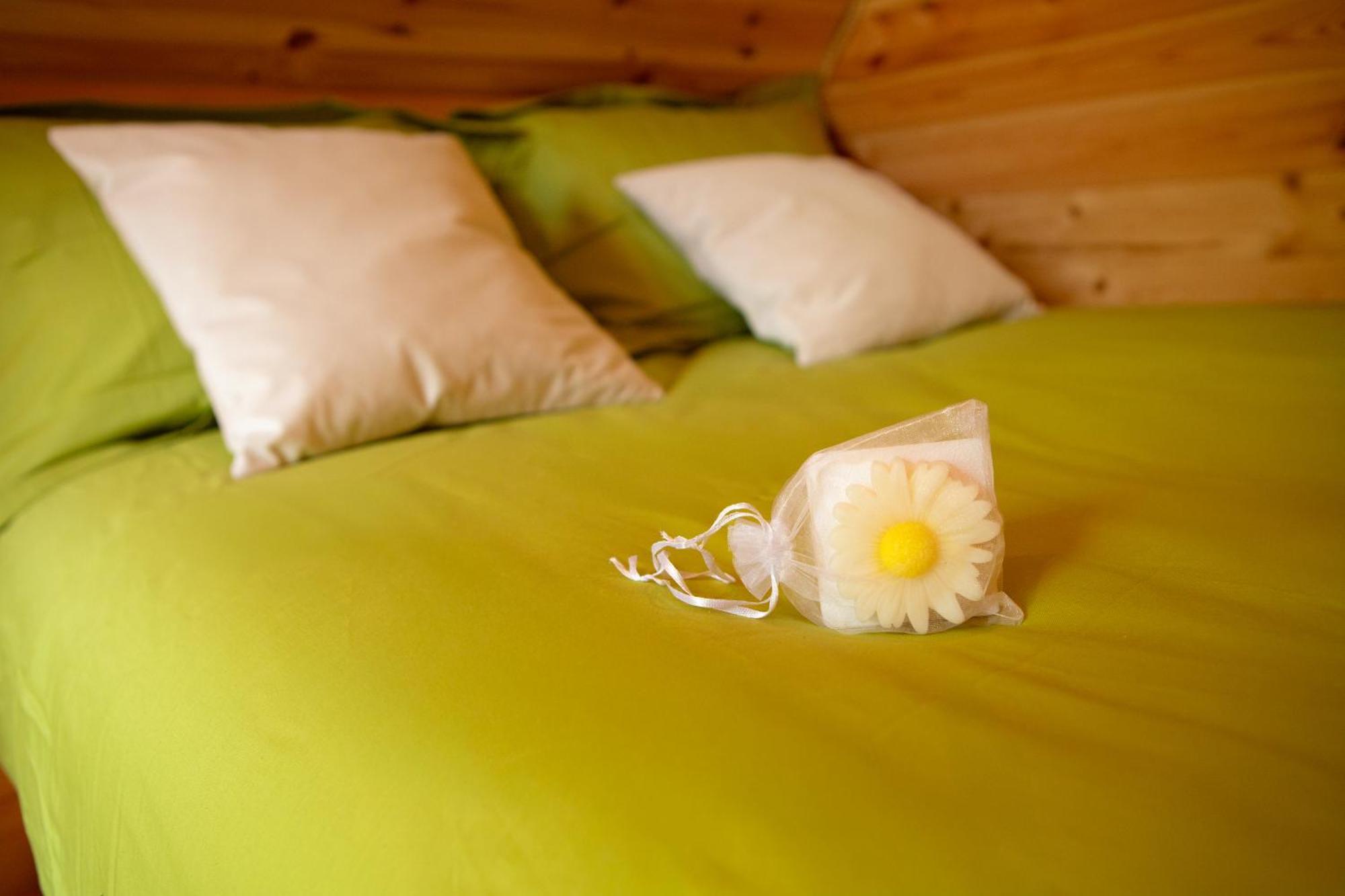 Au Pied Du Frene Villa Herzeele ภายนอก รูปภาพ